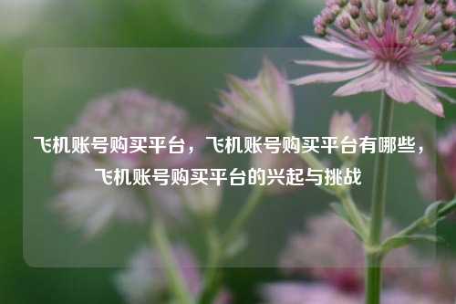 飞机账号购买平台，飞机账号购买平台有哪些，飞机账号购买平台的兴起与挑战