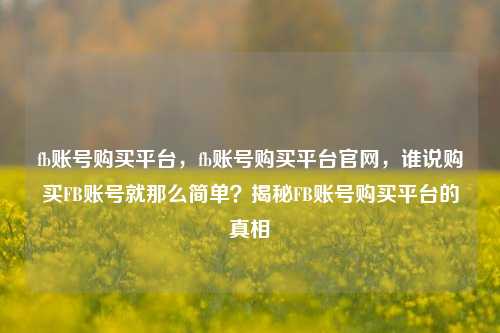 fb账号购买平台，fb账号购买平台官网，谁说购买FB账号就那么简单？揭秘FB账号购买平台的真相