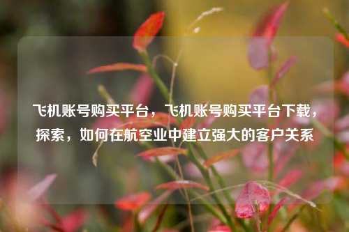 飞机账号购买平台，飞机账号购买平台下载，探索，如何在航空业中建立强大的客户关系