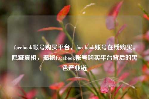 facebook帐号购买平台，facebook账号在线购买，隐藏真相，揭秘Facebook帐号购买平台背后的黑色产业链