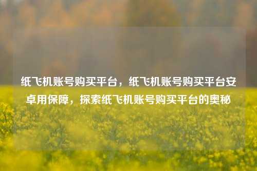 纸飞机账号购买平台，纸飞机账号购买平台安卓用保障，探索纸飞机账号购买平台的奥秘