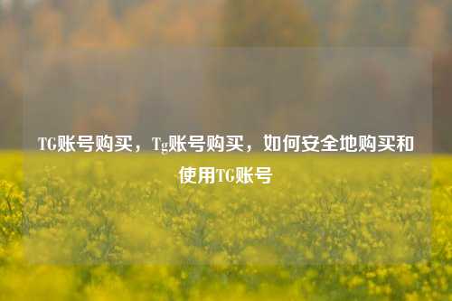 TG账号购买，Tg账号购买，如何安全地购买和使用TG账号