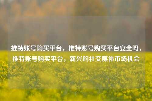 推特账号购买平台，推特账号购买平台安全吗，推特账号购买平台，新兴的社交媒体市场机会