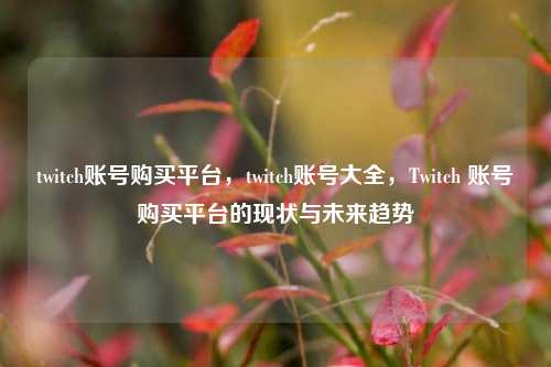 twitch账号购买平台，twitch账号大全，Twitch 账号购买平台的现状与未来趋势
