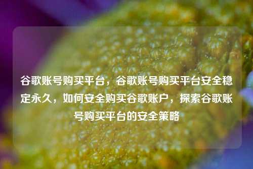 谷歌账号购买平台，谷歌账号购买平台安全稳定永久，如何安全购买谷歌账户，探索谷歌账号购买平台的安全策略