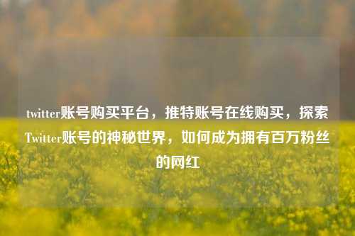 twitter账号购买平台，推特账号在线购买，探索Twitter账号的神秘世界，如何成为拥有百万粉丝的网红