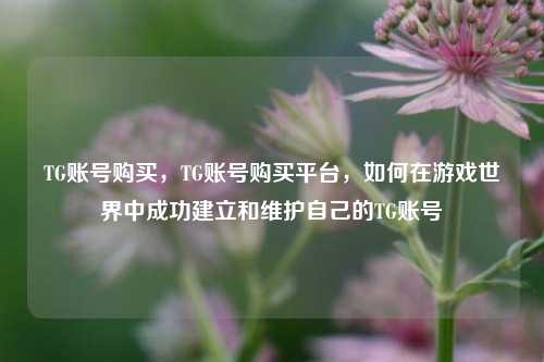 TG账号购买，TG账号购买平台，如何在游戏世界中成功建立和维护自己的TG账号