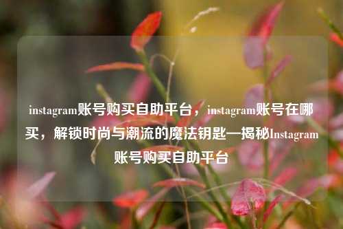 instagram账号购买自助平台，instagram账号在哪买，解锁时尚与潮流的魔法钥匙—揭秘Instagram账号购买自助平台
