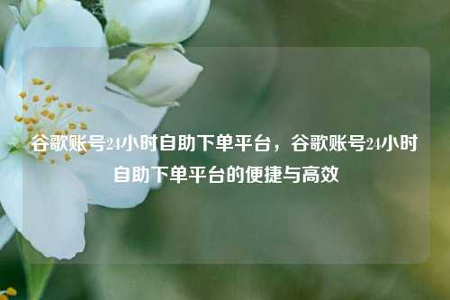 谷歌账号24小时自助下单平台，谷歌账号24小时自助下单平台的便捷与高效