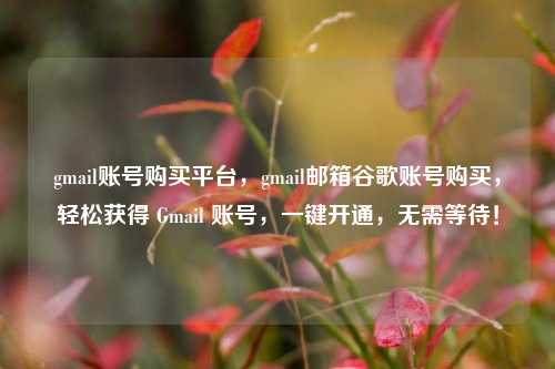 gmail账号购买平台，gmail邮箱谷歌账号购买，轻松获得 Gmail 账号，一键开通，无需等待！