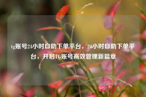 tg账号24小时自助下单平台，24小时自助下单平台，开启TG账号高效管理新篇章