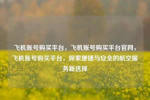 飞机账号购买平台，飞机账号购买平台官网，飞机账号购买平台，探索便捷与安全的航空服务新选择