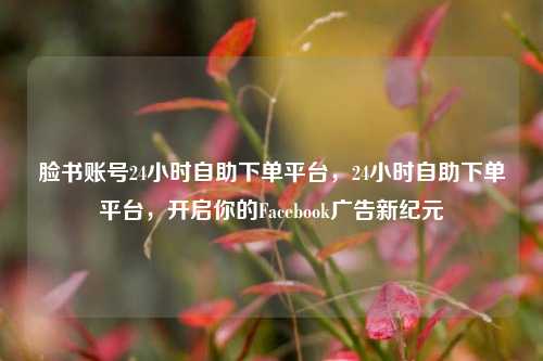 脸书账号24小时自助下单平台，24小时自助下单平台，开启你的Facebook广告新纪元