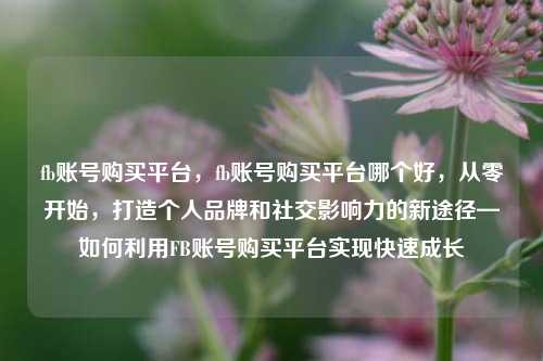fb账号购买平台，fb账号购买平台哪个好，从零开始，打造个人品牌和社交影响力的新途径—如何利用FB账号购买平台实现快速成长