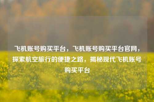 飞机账号购买平台，飞机账号购买平台官网，探索航空旅行的便捷之路，揭秘现代飞机账号购买平台