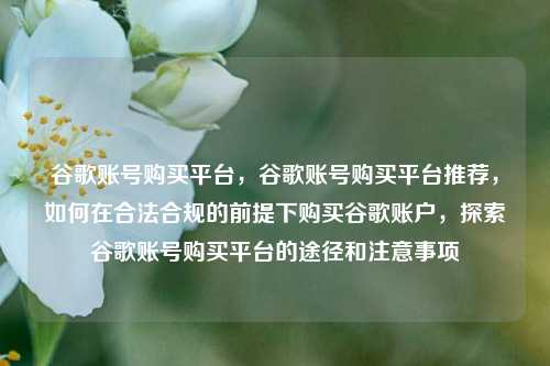 谷歌账号购买平台，谷歌账号购买平台推荐，如何在合法合规的前提下购买谷歌账户	，探索谷歌账号购买平台的途径和注意事项  第1张