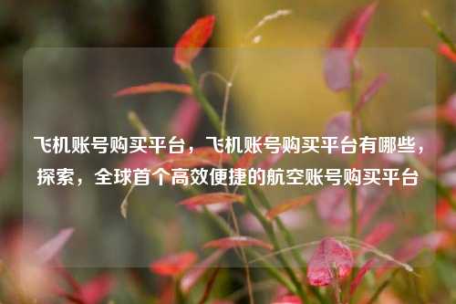 飞机账号购买平台，飞机账号购买平台有哪些，探索，全球首个高效便捷的航空账号购买平台