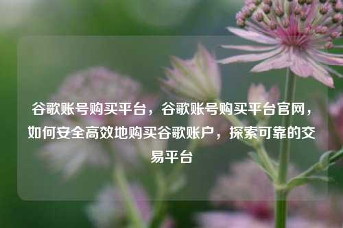 谷歌账号购买平台，谷歌账号购买平台官网，如何安全高效地购买谷歌账户，探索可靠的交易平台