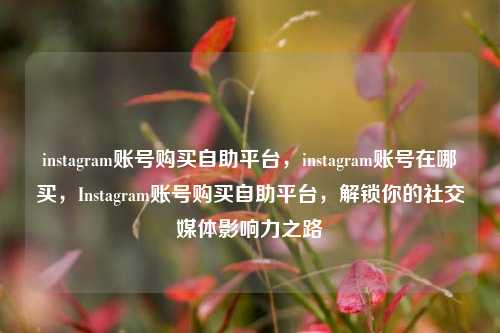 instagram账号购买自助平台，instagram账号在哪买，Instagram账号购买自助平台，解锁你的社交媒体影响力之路