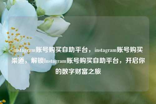 instagram账号购买自助平台，instagram账号购买渠道，解锁Instagram账号购买自助平台，开启你的数字财富之旅