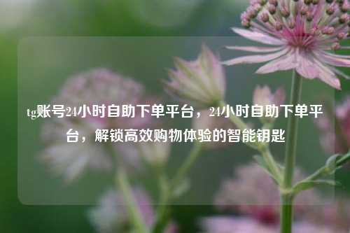 tg账号24小时自助下单平台，24小时自助下单平台，解锁高效购物体验的智能钥匙