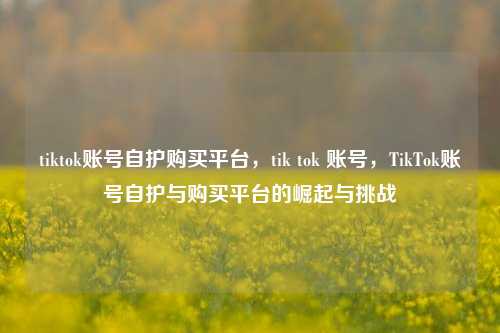 tiktok账号自护购买平台，tik tok 账号，TikTok账号自护与购买平台的崛起与挑战