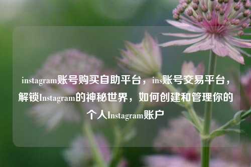 instagram账号购买自助平台，ins账号交易平台，解锁Instagram的神秘世界，如何创建和管理你的个人Instagram账户