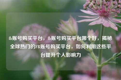 fb账号购买平台，fb账号购买平台哪个好，揭秘全球热门的FB账号购买平台，如何利用这些平台提升个人影响力