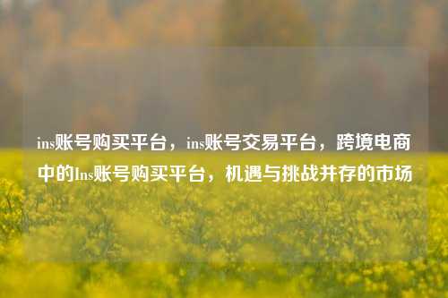 ins账号购买平台，ins账号交易平台，跨境电商中的Ins账号购买平台，机遇与挑战并存的市场