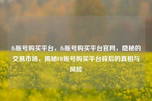 fb账号购买平台，fb账号购买平台官网，隐秘的交易市场，揭秘FB账号购买平台背后的真相与风险