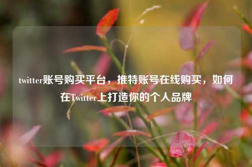 twitter账号购买平台，推特账号在线购买	，如何在Twitter上打造你的个人品牌  第1张
