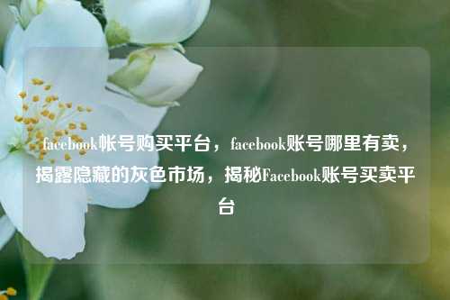 facebook帐号购买平台，facebook账号哪里有卖	，揭露隐藏的灰色市场，揭秘Facebook账号买卖平台  第1张