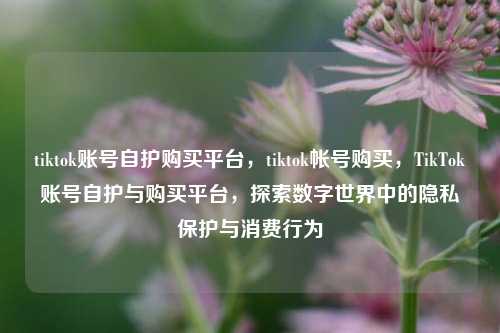 tiktok账号自护购买平台，tiktok帐号购买，TikTok账号自护与购买平台，探索数字世界中的隐私保护与消费行为