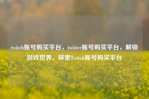 twitch账号购买平台，twiiter账号购买平台，解锁游戏世界，探索Twitch账号购买平台