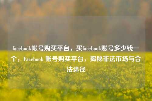 facebook帐号购买平台，买facebook账号多少钱一个，Facebook 帐号购买平台	，揭秘非法市场与合法途径  第1张