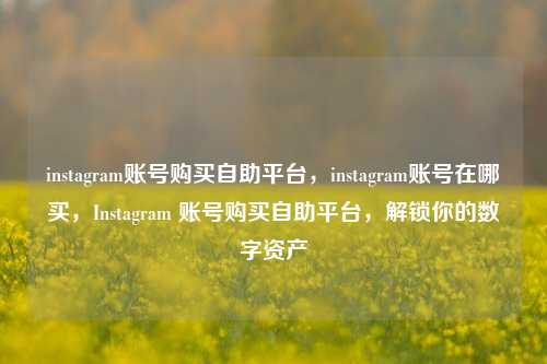 instagram账号购买自助平台，instagram账号在哪买	，Instagram 账号购买自助平台，解锁你的数字资产  第1张