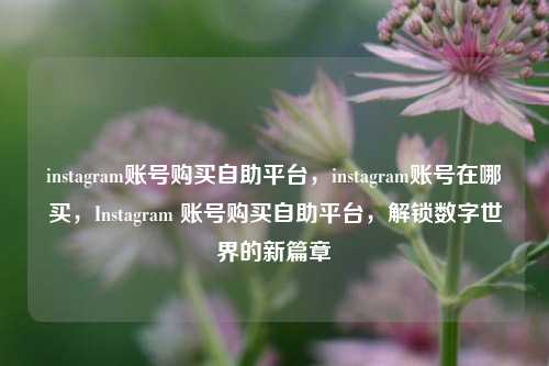 instagram账号购买自助平台，instagram账号在哪买，Instagram 账号购买自助平台，解锁数字世界的新篇章