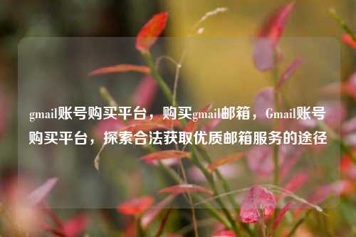 gmail账号购买平台，购买gmail邮箱，Gmail账号购买平台，探索合法获取优质邮箱服务的途径