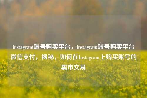 instagram账号购买平台，instagram账号购买平台微信支付，揭秘，如何在Instagram上购买账号的黑市交易