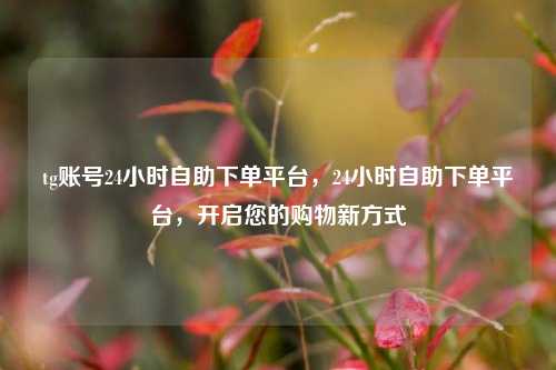 tg账号24小时自助下单平台，24小时自助下单平台，开启您的购物新方式