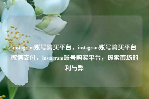 instagram账号购买平台，instagram账号购买平台微信支付，Instagram账号购买平台，探索市场的利与弊