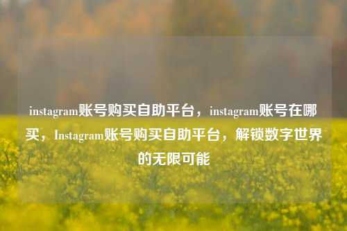 instagram账号购买自助平台，instagram账号在哪买，Instagram账号购买自助平台	，解锁数字世界的无限可能  第1张
