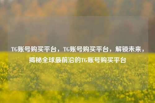 TG账号购买平台，TG账号购买平台，解锁未来，揭秘全球最前沿的TG账号购买平台