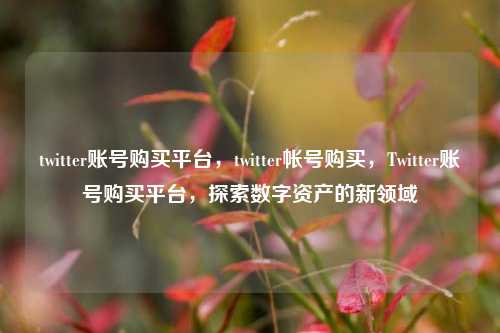 twitter账号购买平台，twitter帐号购买，Twitter账号购买平台，探索数字资产的新领域