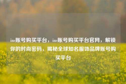 ins账号购买平台，ins账号购买平台官网，解锁你的时尚密码，揭秘全球知名服饰品牌账号购买平台