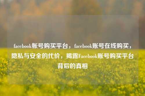 facebook帐号购买平台，facebook账号在线购买，隐私与安全的代价，揭露Facebook账号购买平台背后的真相