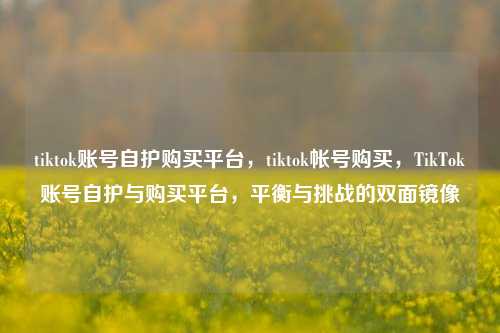 tiktok账号自护购买平台，tiktok帐号购买，TikTok账号自护与购买平台，平衡与挑战的双面镜像