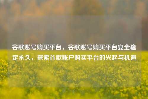 谷歌账号购买平台，谷歌账号购买平台安全稳定永久，探索谷歌账户购买平台的兴起与机遇