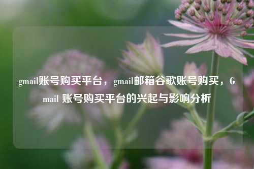 gmail账号购买平台，gmail邮箱谷歌账号购买，Gmail 账号购买平台的兴起与影响分析