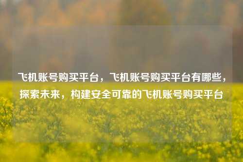 飞机账号购买平台，飞机账号购买平台有哪些，探索未来，构建安全可靠的飞机账号购买平台